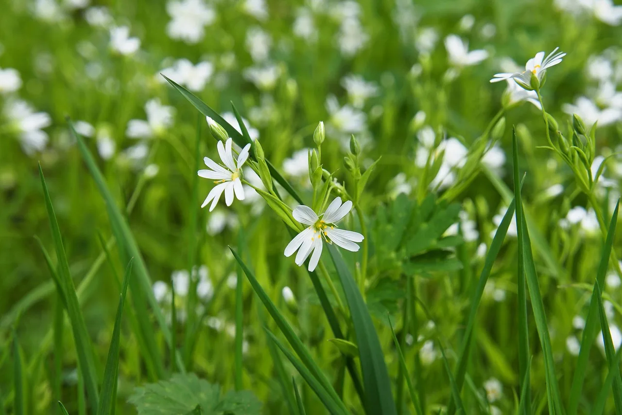 natuur in Eindhoven