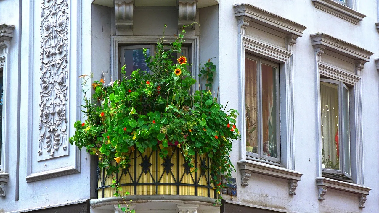 planten voor balkon