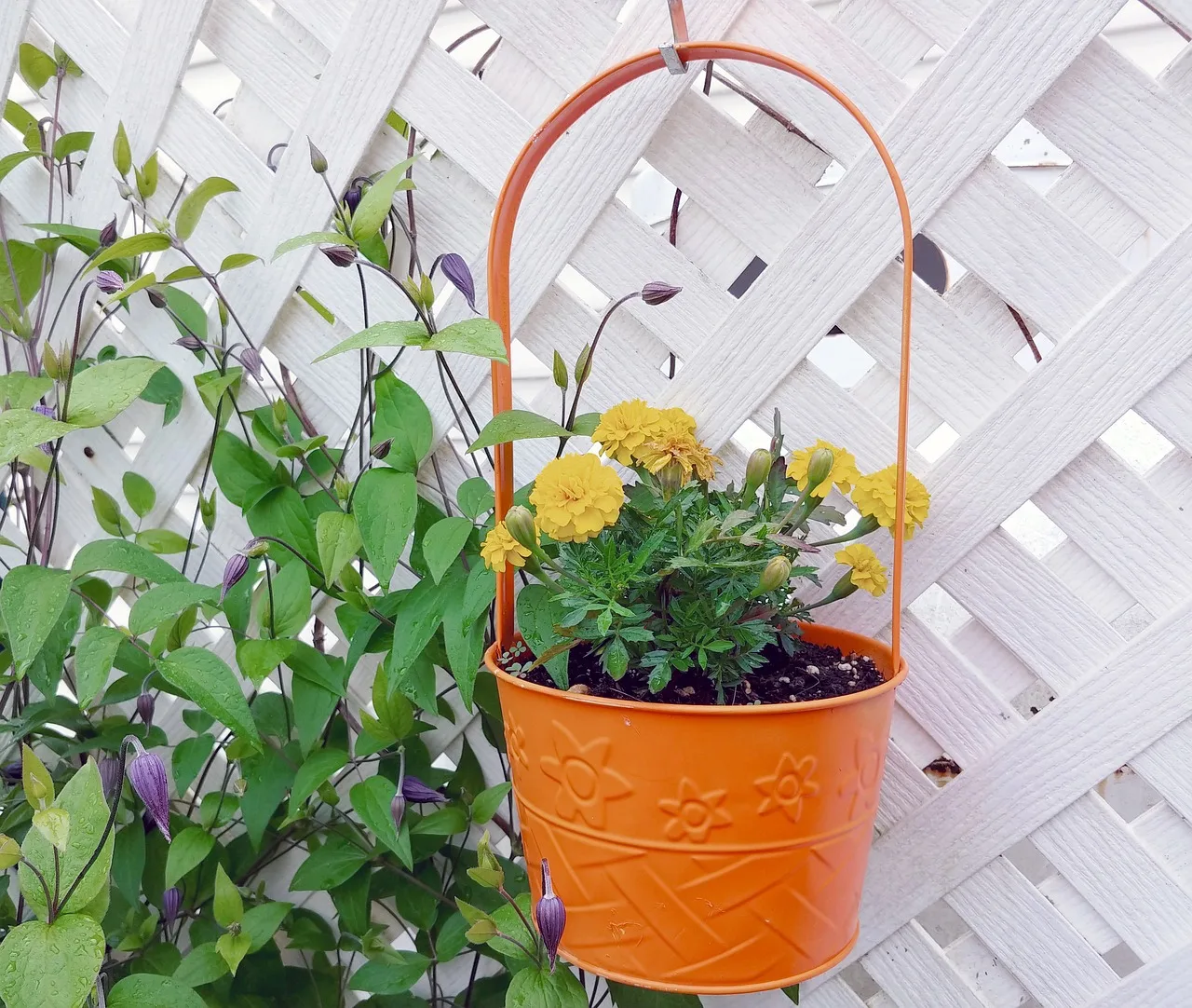 DIY tuinprojecten: maak je tuin zelf mooier