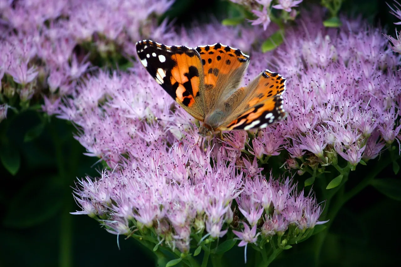 Tuin idee&euml;n voor beginners: zo begin je met tuinieren